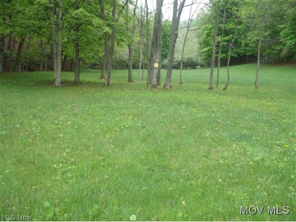 0 Rt 47 Smithville, WV 26178 - Photo 2 of 17