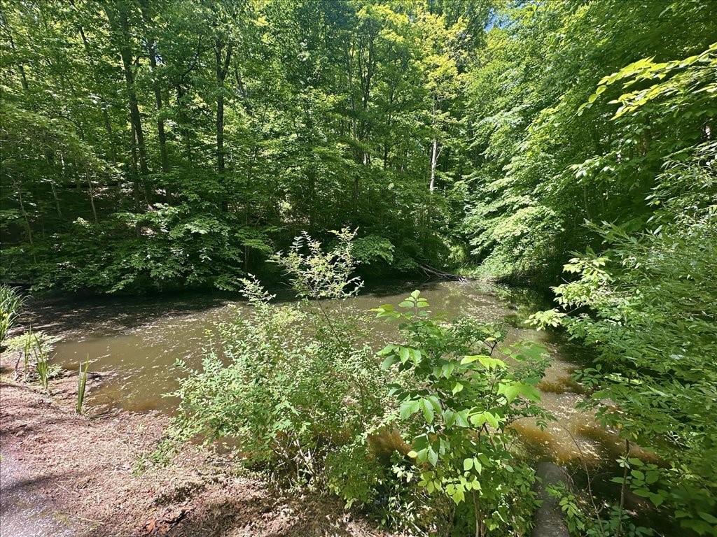 1826 Toms Run Road Holbrook, PA 15341 - Photo 45 of 50 Pond