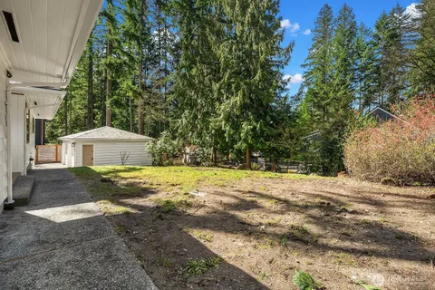 a view of a yard with large trees