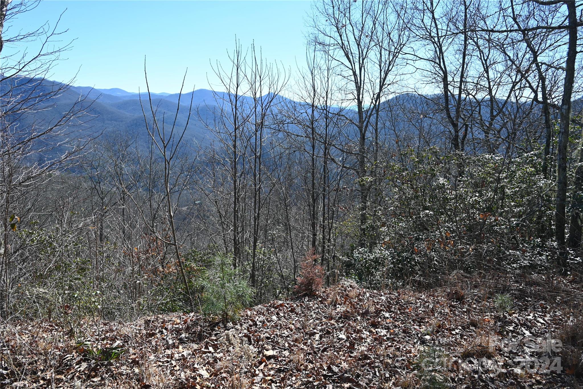 0 Longview Ridge, Unit 72 Sylva, NC 28779 - Photo 3 of 7 a view of a backyard