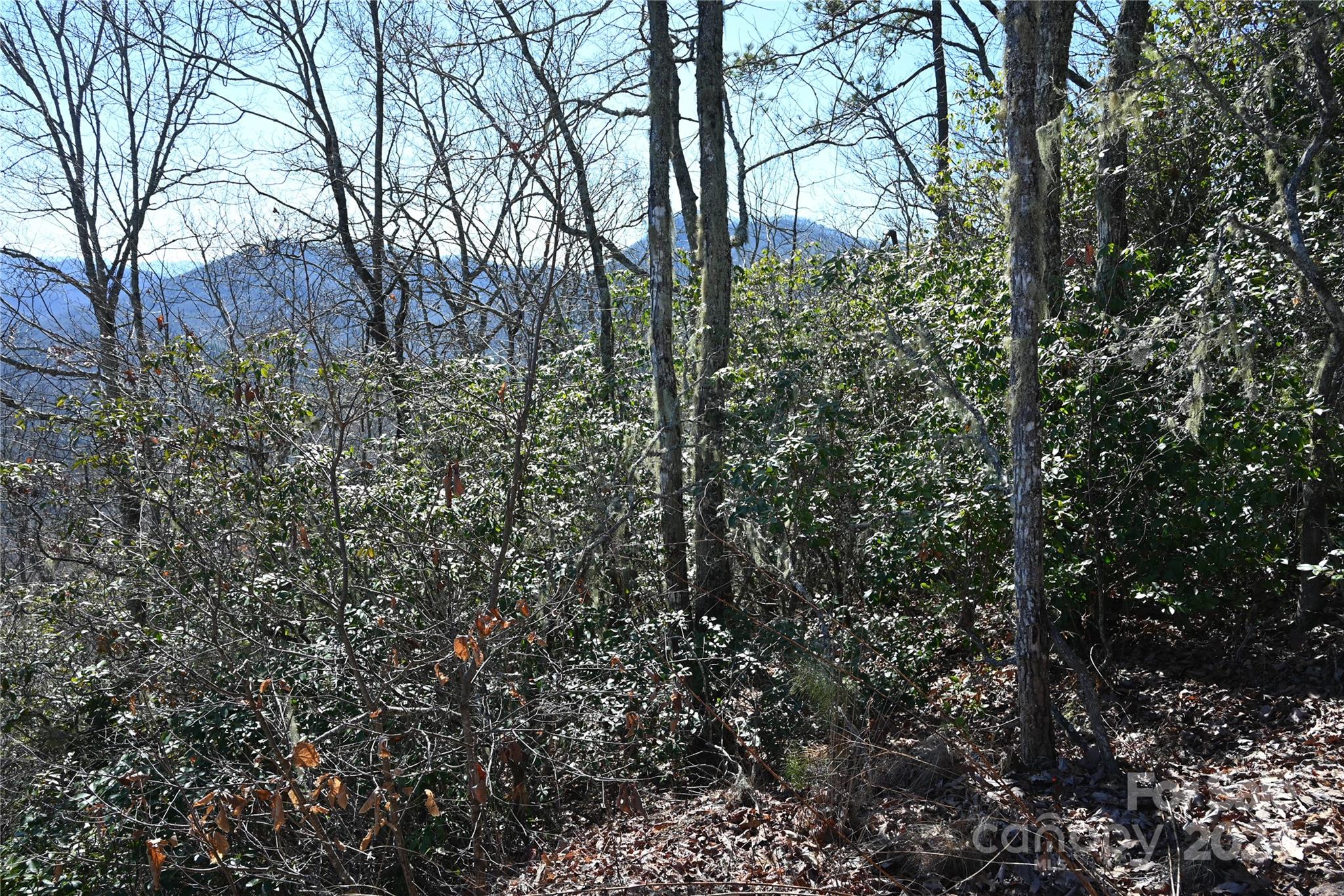 0 Longview Ridge, Unit 72 Sylva, NC 28779 - Photo 5 of 7 a view of forest