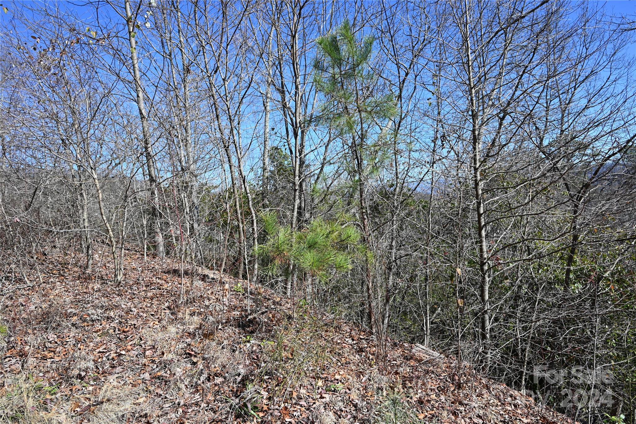 0 Longview Ridge, Unit 72 Sylva, NC 28779 - Photo 6 of 7 a big yard with lots of green space and trees