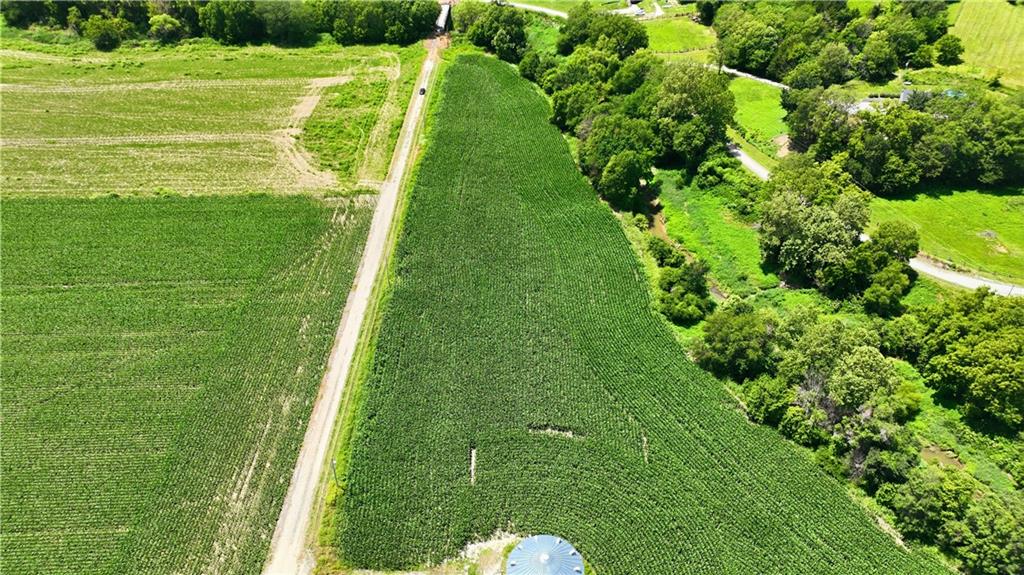 Stanton Road Rushville, MO 64484 - Photo 4 of 19