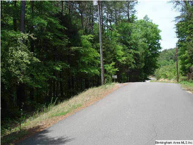 7595 McCombs Mill Road Pinson, AL 35126 - Photo 2 of 3