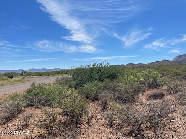 39-acres South Foothills Road, Unit 9 San Simon, AZ 85632 - Photo 11 of 12