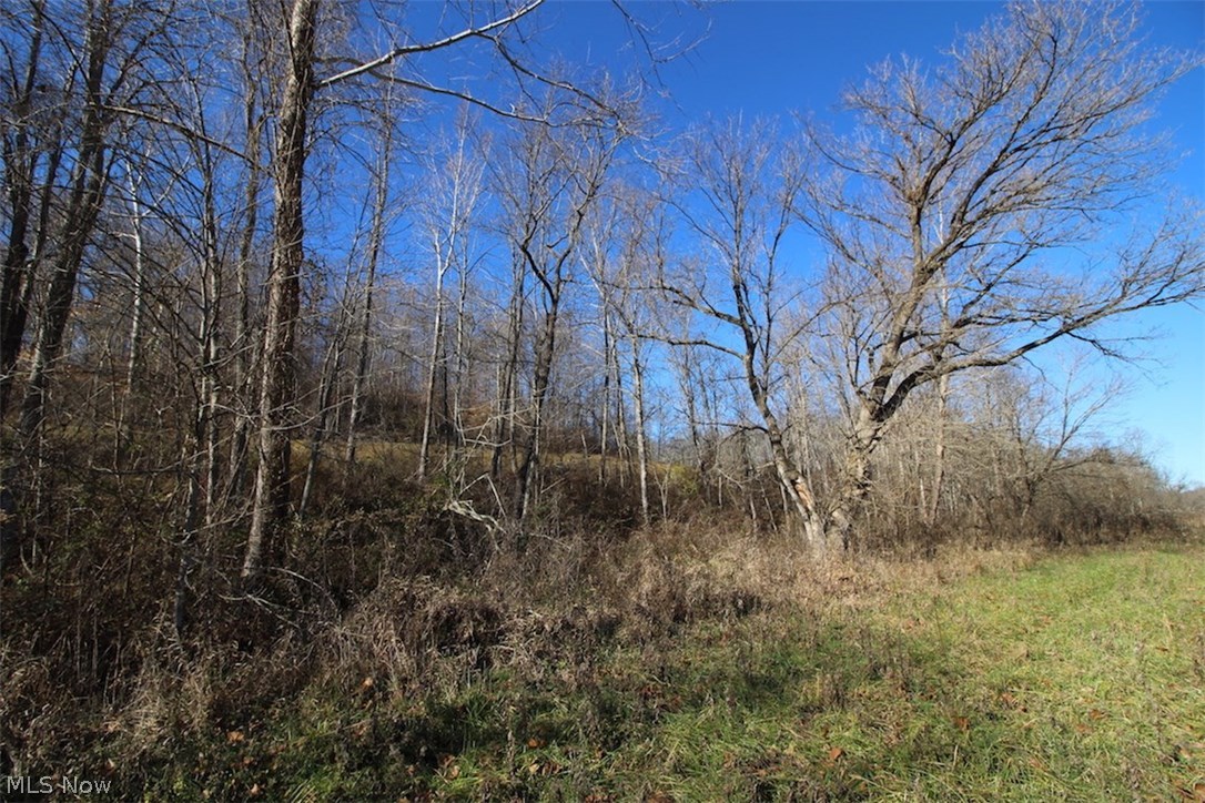 Jones Road Shade, OH 45776 - Photo 6 of 19