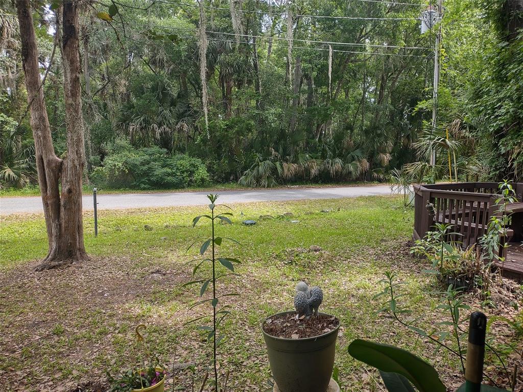 56508 Blue Creek Road Astor, FL 32102 - Photo 54 of 59