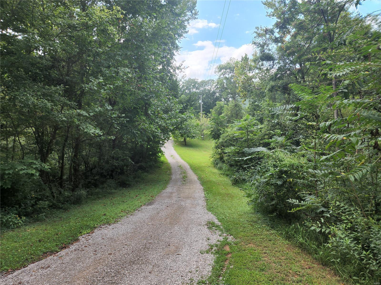 4207 Glober Road Chester, IL 62233 - Photo 4 of 53