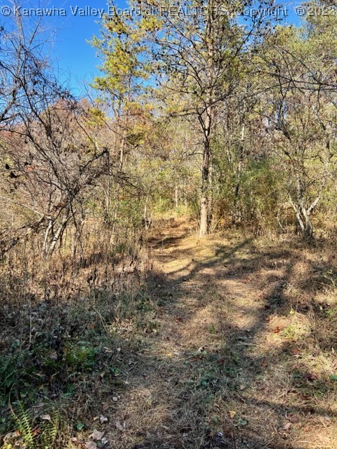 0 North Grapevine Road Charleston, WV 25320 - Photo 10 of 22 Gallery Image 10