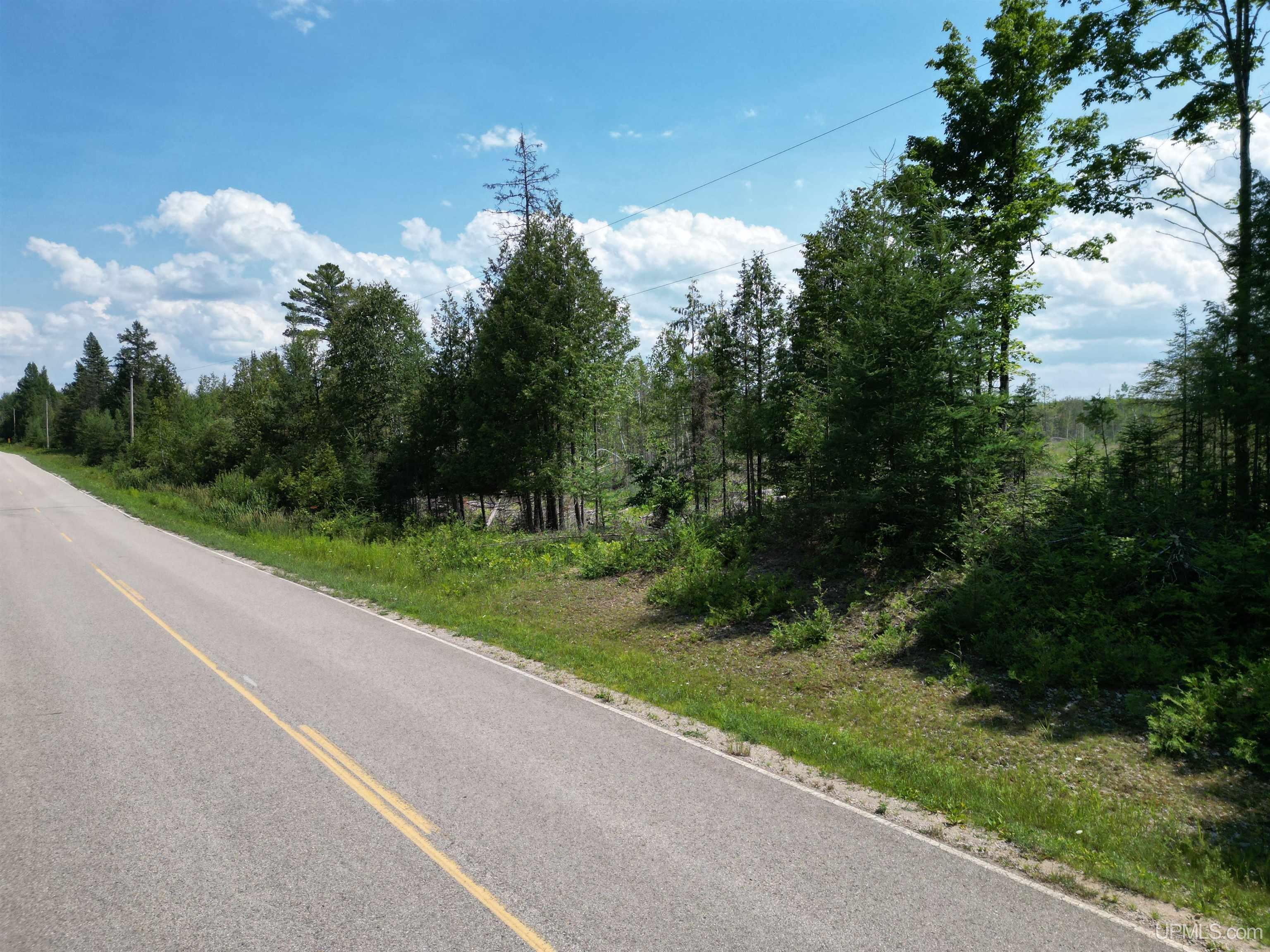 Tbd Cr 400 Road, Unit 23 Perronville, MI 49873 - Photo 17 of 19