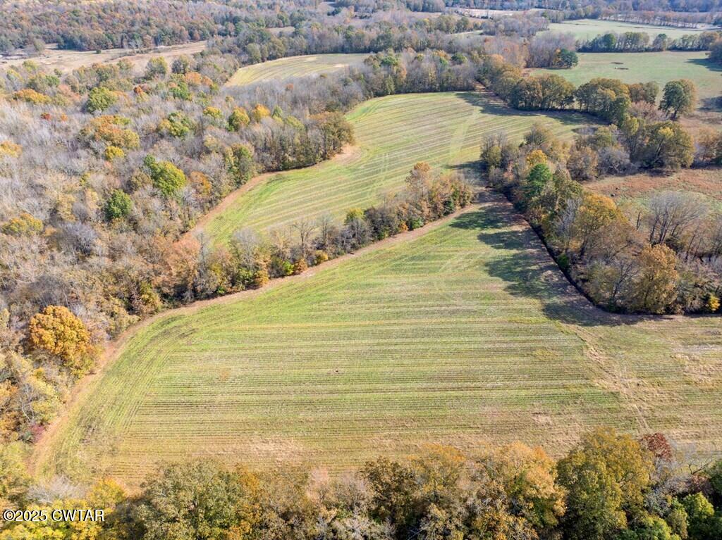 8405 Highway 77 Huntingdon, TN 38344 - Photo 21 of 37 a view of lake view