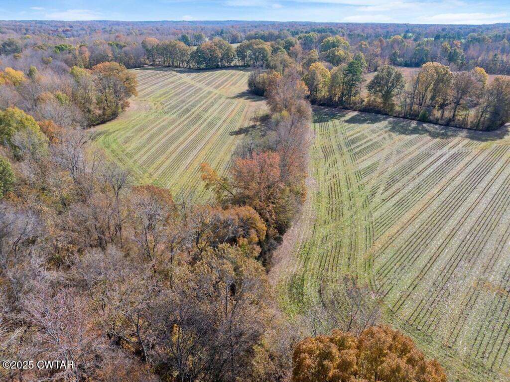8405 Highway 77 Huntingdon, TN 38344 - Photo 29 of 37 a view of a house with a yard