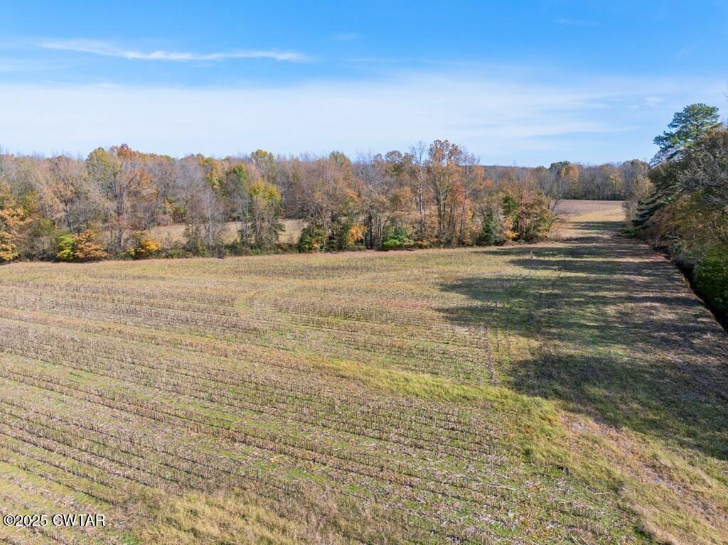 8405 Highway 77 Huntingdon, TN 38344 - Photo 31 of 37 a view of a field with an ocean