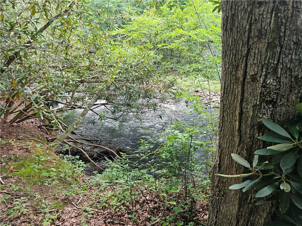 1106 River Road Dobson, NC 27017 - Photo 29 of 36 Gallery Image 29