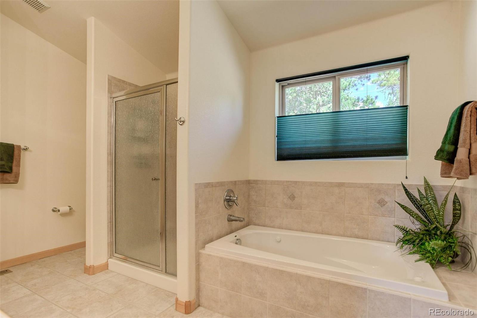 29 Pine Trail Bailey, CO 80421 - Photo 15 of 30 a bathroom with a tub a potted plant and a shower