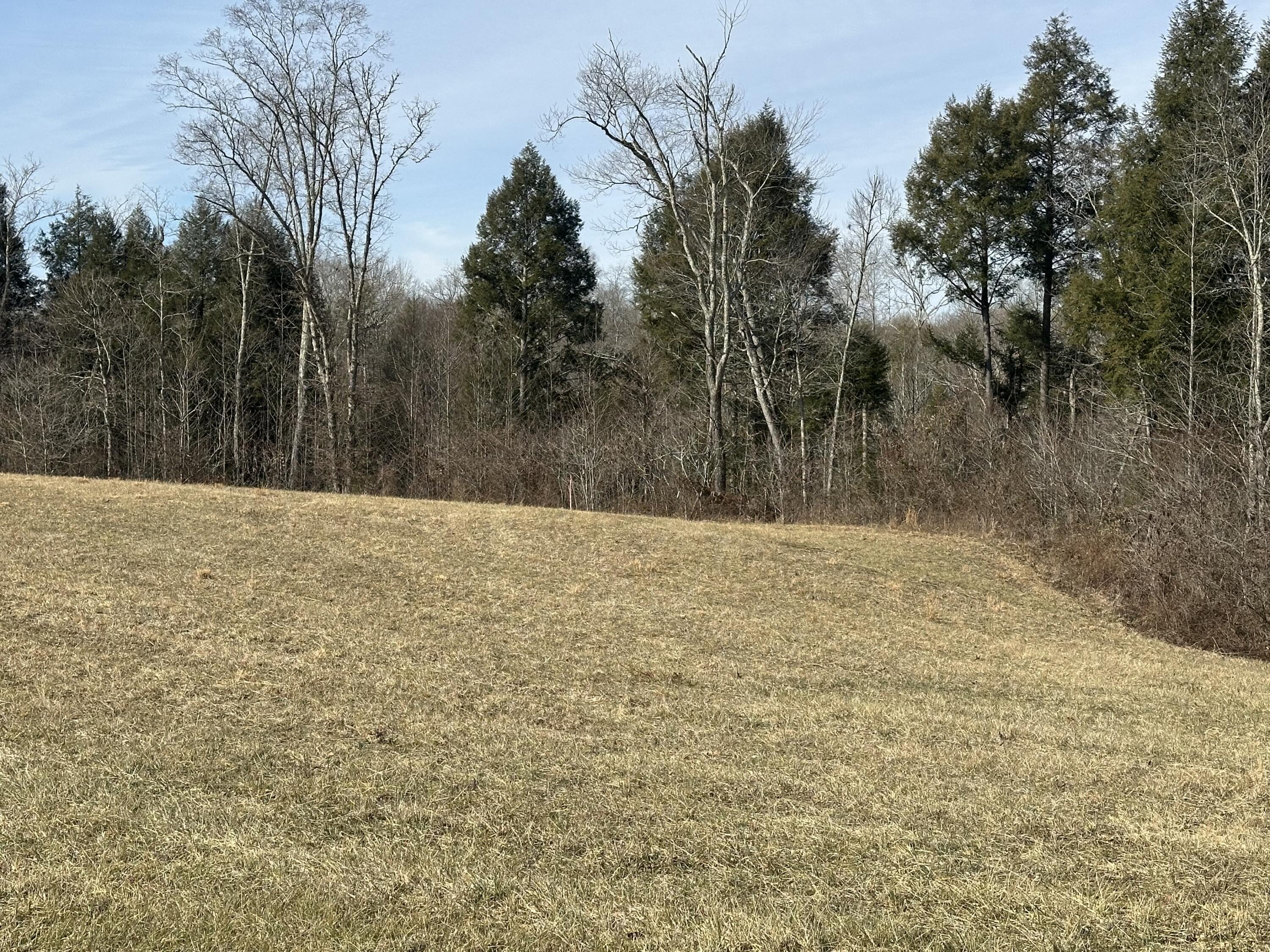 9 B Baldwin Road McKee, KY 40447 - Photo 8 of 17 RECENTLY SURVEYED