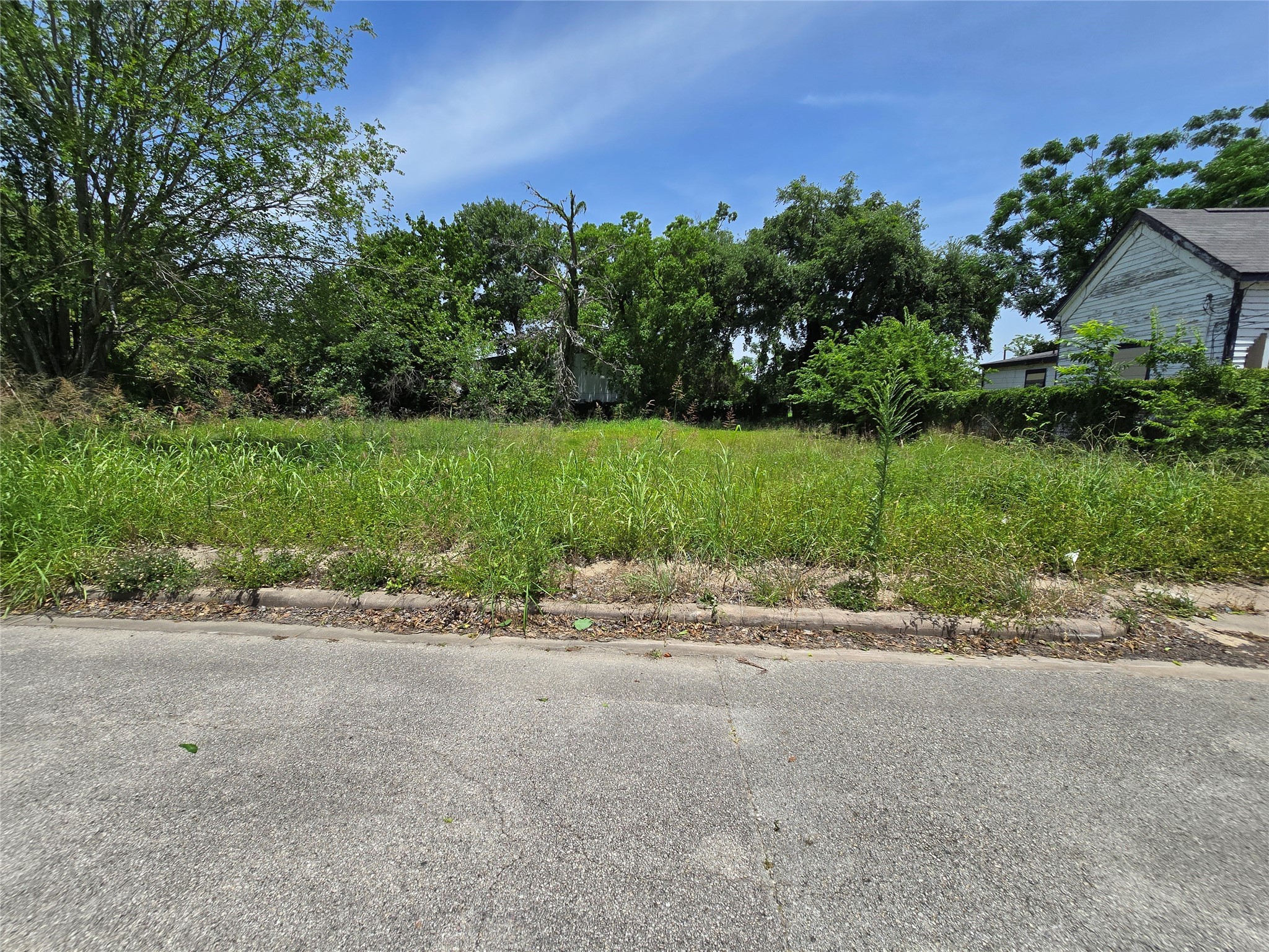 3 Berry Street Houston, TX 77004 - Photo 2 of 6 a view of a yard with a street