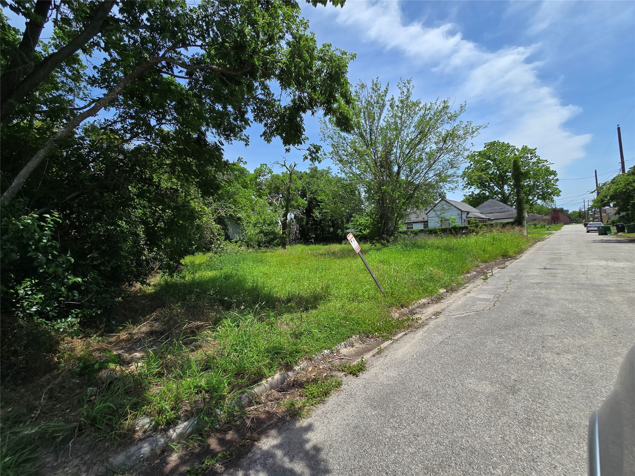 3 Berry Street Houston, TX 77004 - Photo 3 of 6 a view of a park with large trees