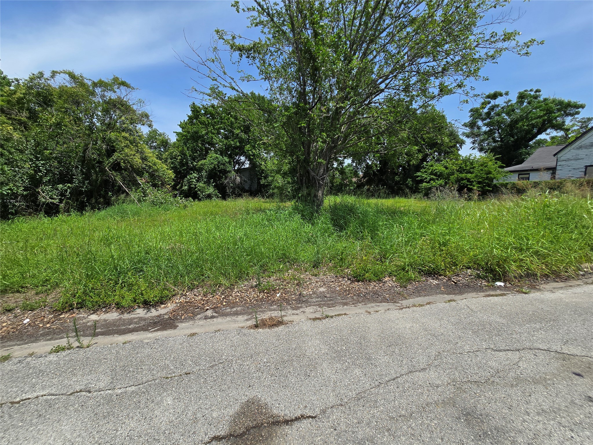 3 Berry Street Houston, TX 77004 - Photo 4 of 6 a view of a road with a trees in the background