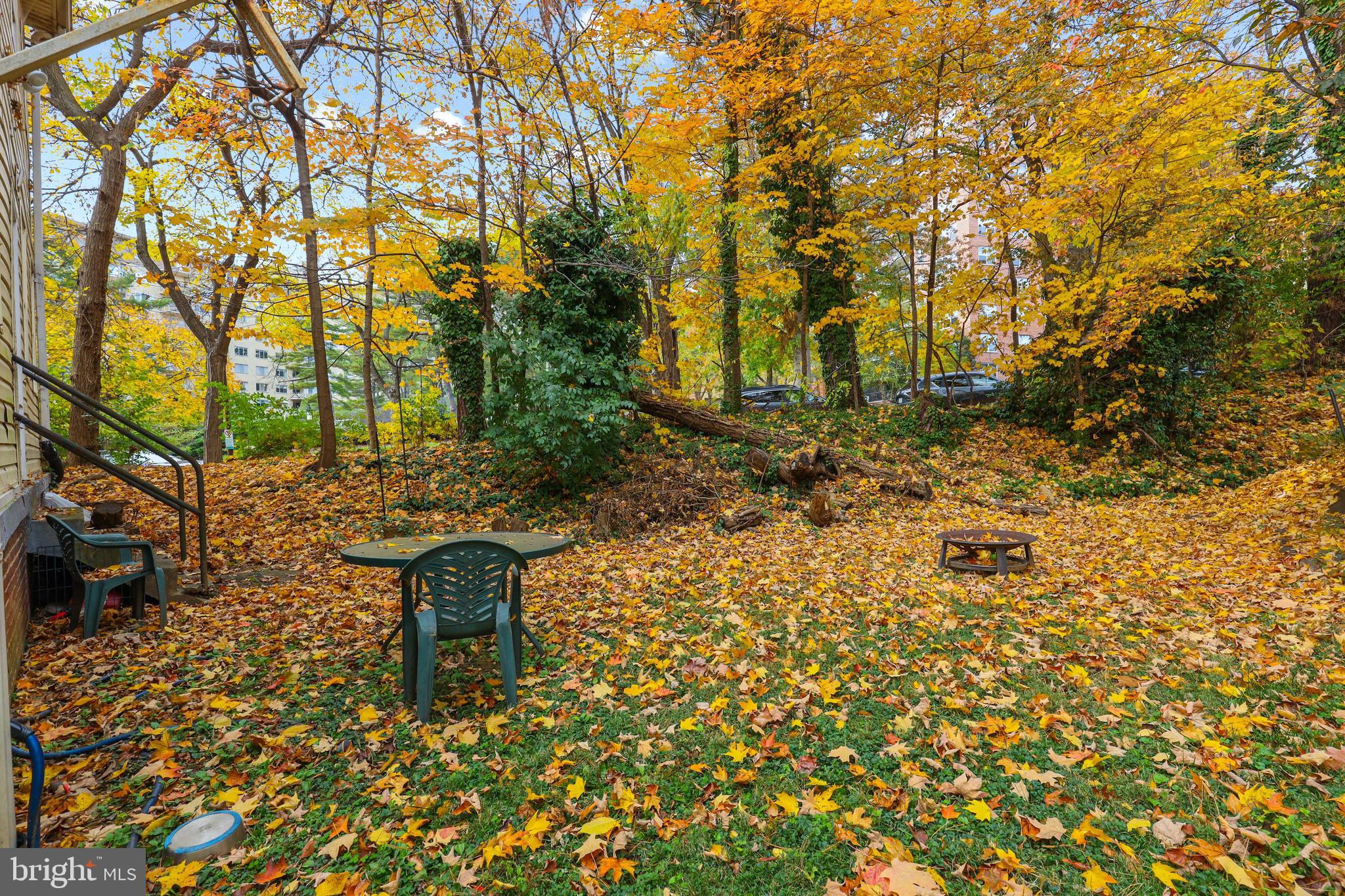 3929 Fulton Street Northwest Washington, DC 20007 - Photo 33 of 36 Generous lot