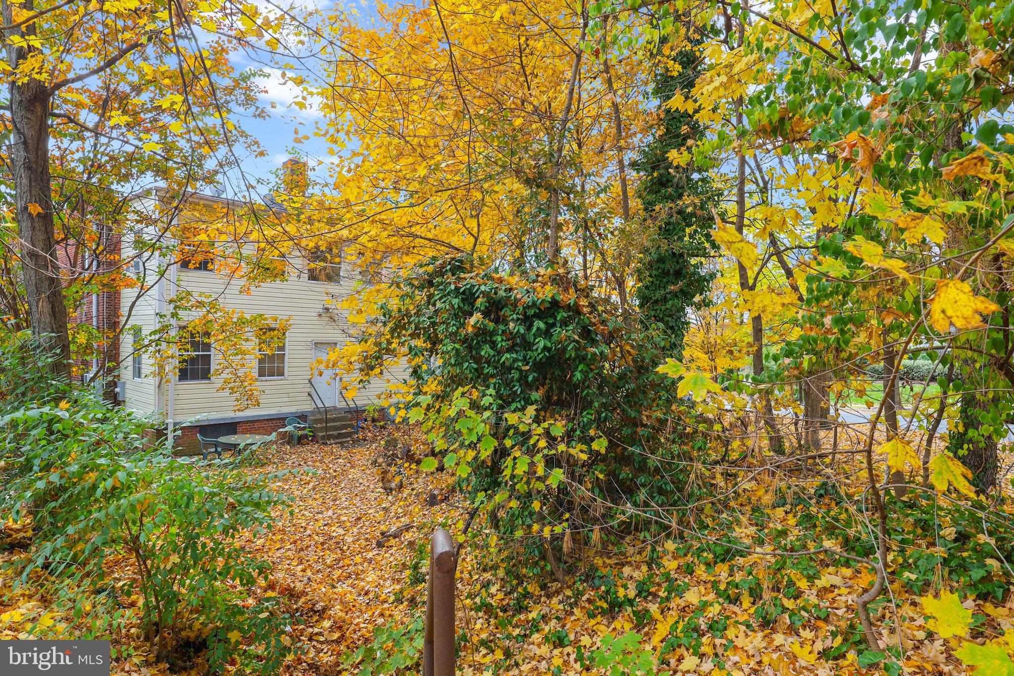 3929 Fulton Street Northwest Washington, DC 20007 - Photo 35 of 36