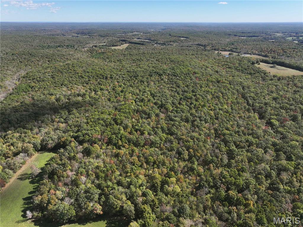 Mo-dd Glen Allen Mo 63655 Glenallen, MO 63751 - Photo 33 of 45