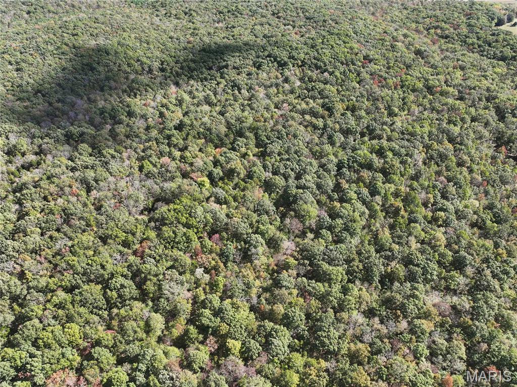 Mo-dd Glen Allen Mo 63655 Glenallen, MO 63751 - Photo 34 of 45