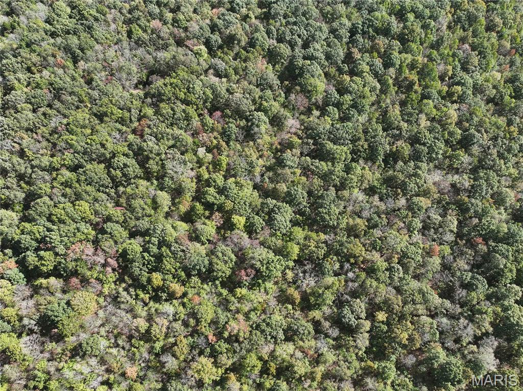 Mo-dd Glen Allen Mo 63655 Glenallen, MO 63751 - Photo 35 of 45