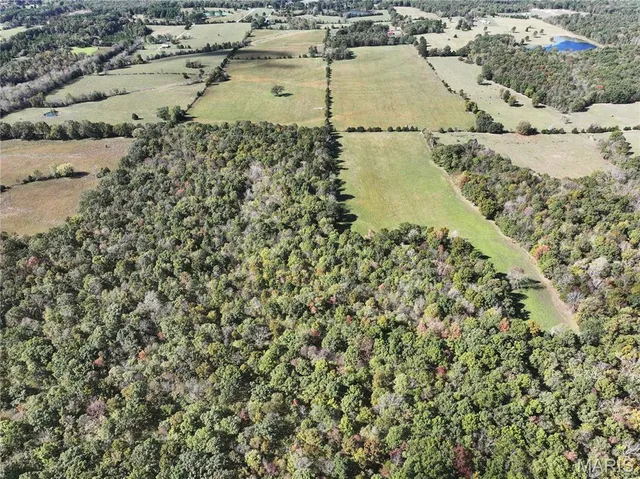 $783,045 | Mo-dd Glen Allen Mo 63655, Glenallen, MO 63751