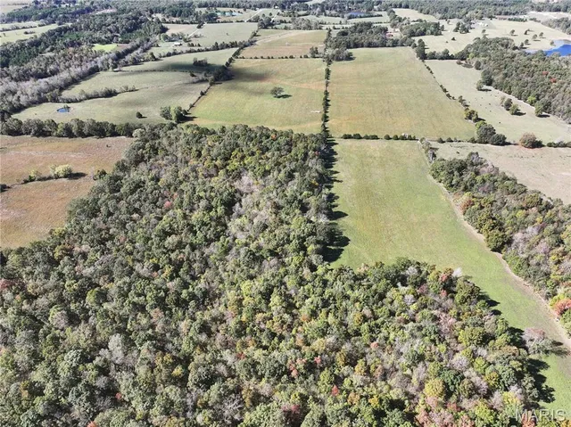 $783,045 | Mo-dd Glen Allen Mo 63655, Glenallen, MO 63751