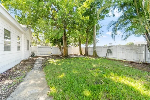 a view of a yard with plants and a large tree