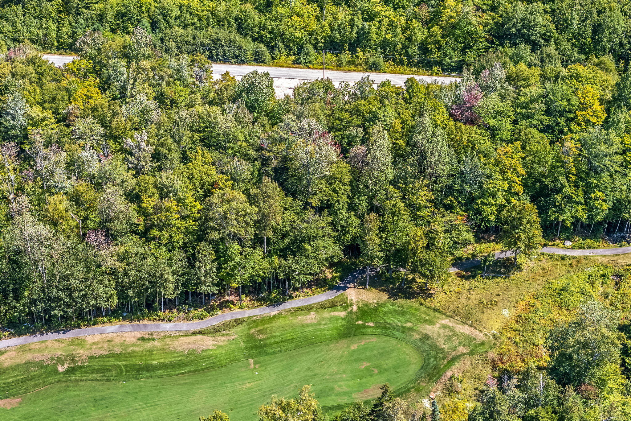 Lot 2 Monkey Brook Road Newry, ME 04261 - Photo 6 of 25 22-web-or-mls-2-monkey-brook-rd