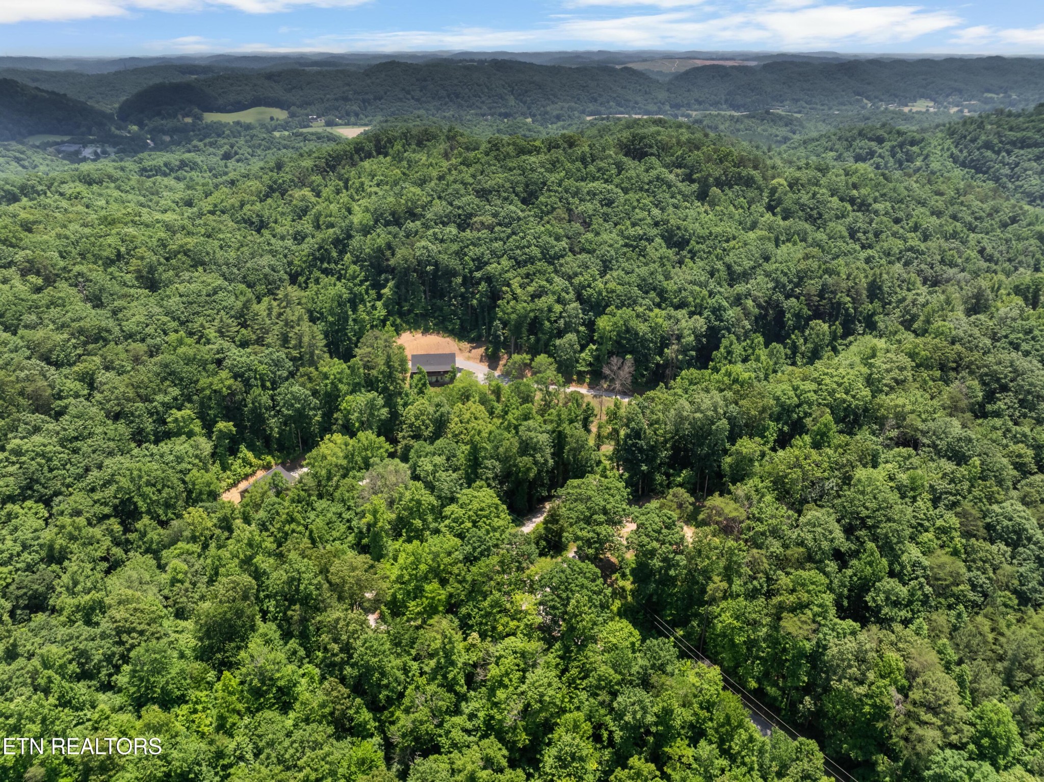 157 Foust Hollow Road Heiskell, TN 37754 - Photo 33 of 34 a view of a city with lush green forest