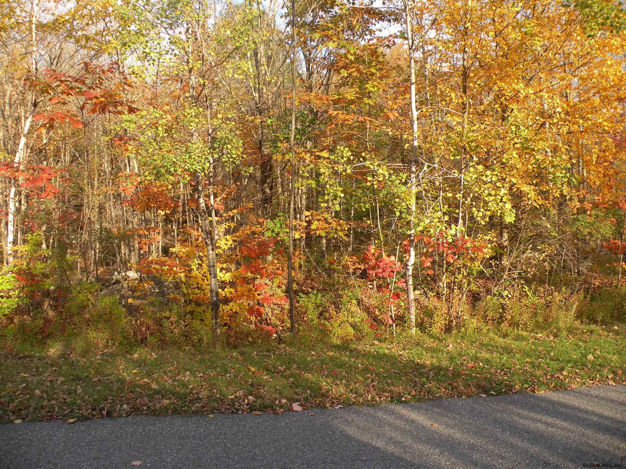Campbell Road Windham, NY 12496 - Photo 1 of 8 Photo 1