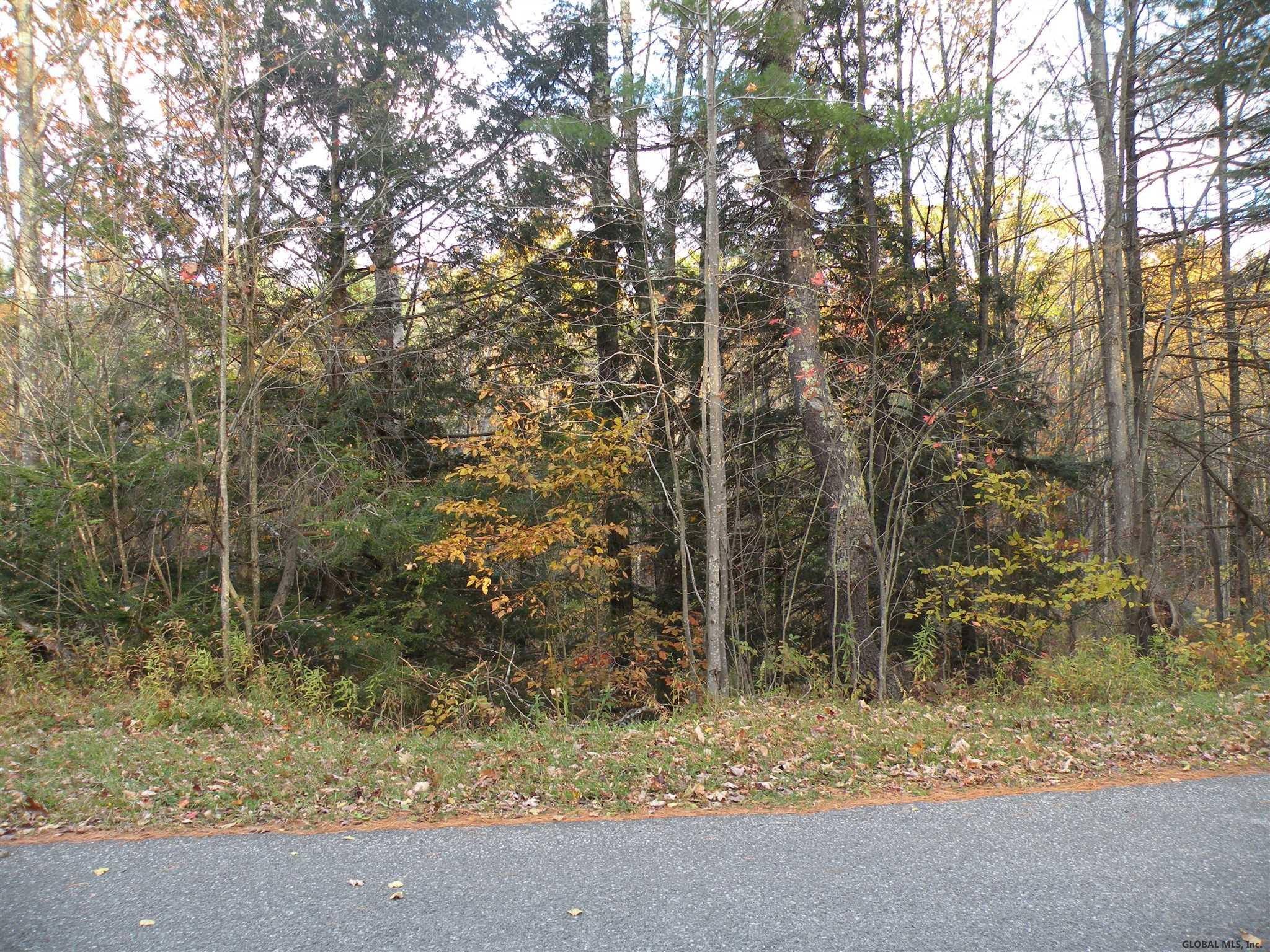 Campbell Road Windham, NY 12496 - Photo 2 of 8 Photo 2