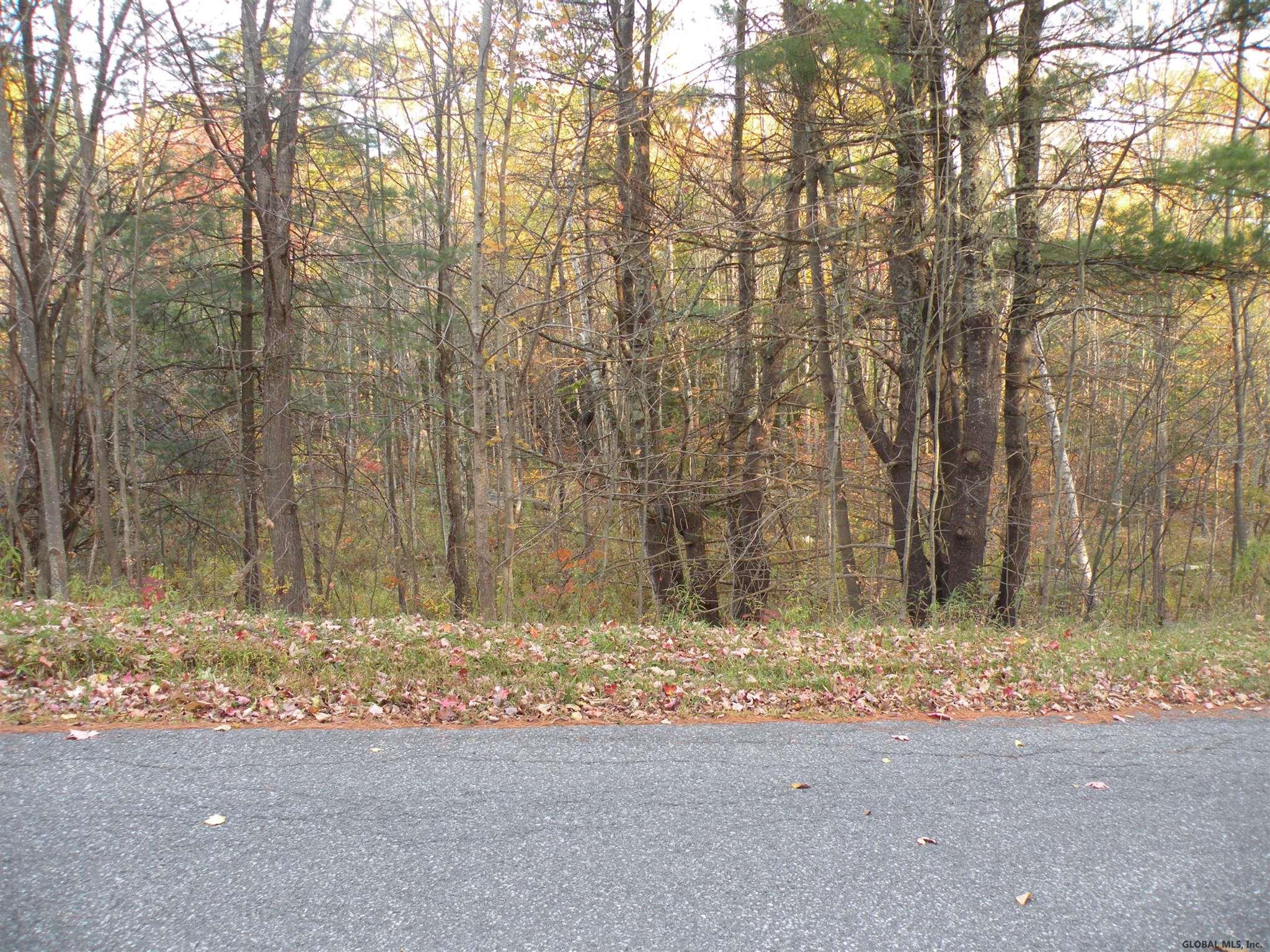 Campbell Road Windham, NY 12496 - Photo 3 of 8 Photo 3