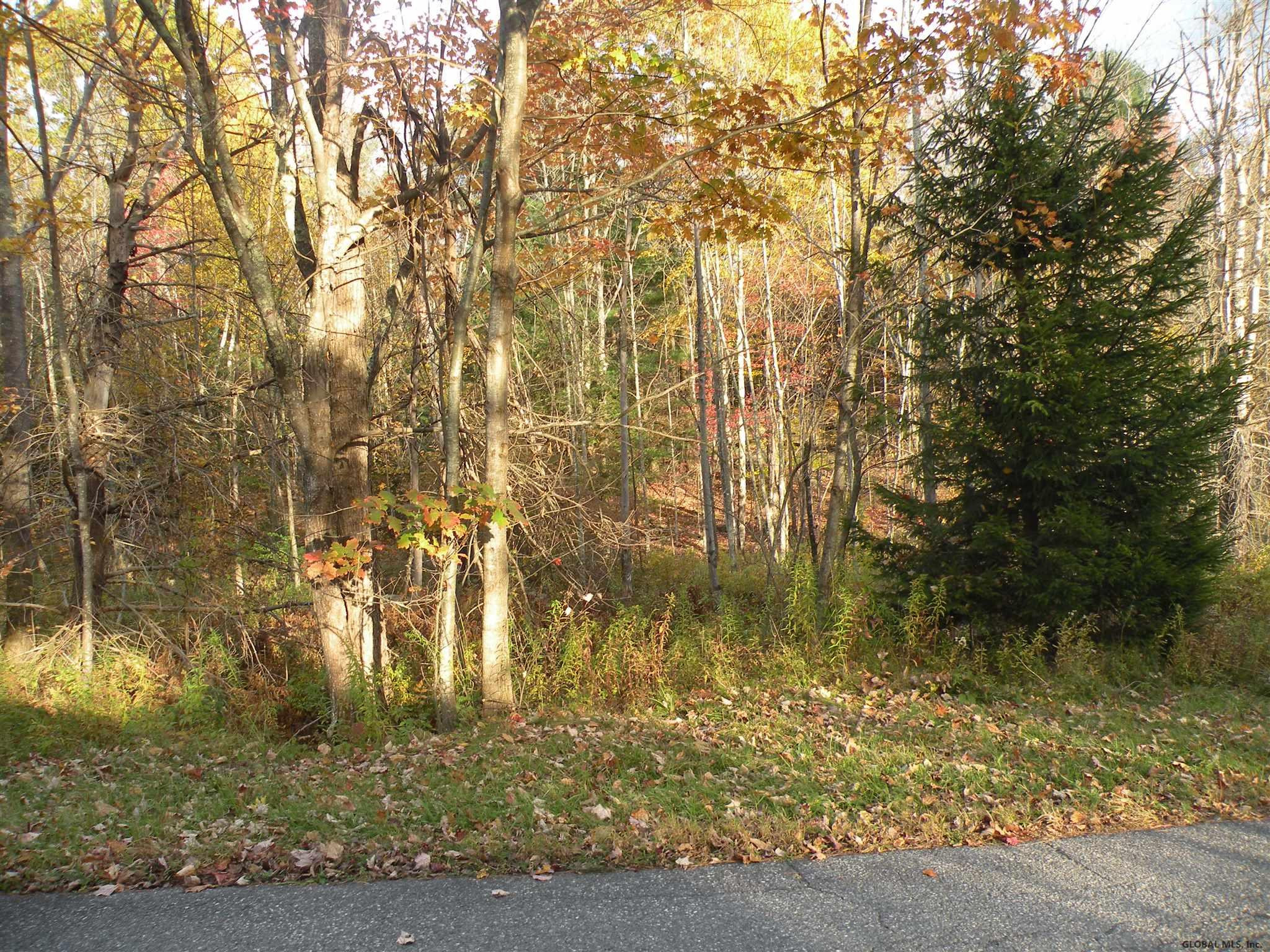 Campbell Road Windham, NY 12496 - Photo 4 of 8 Photo 4