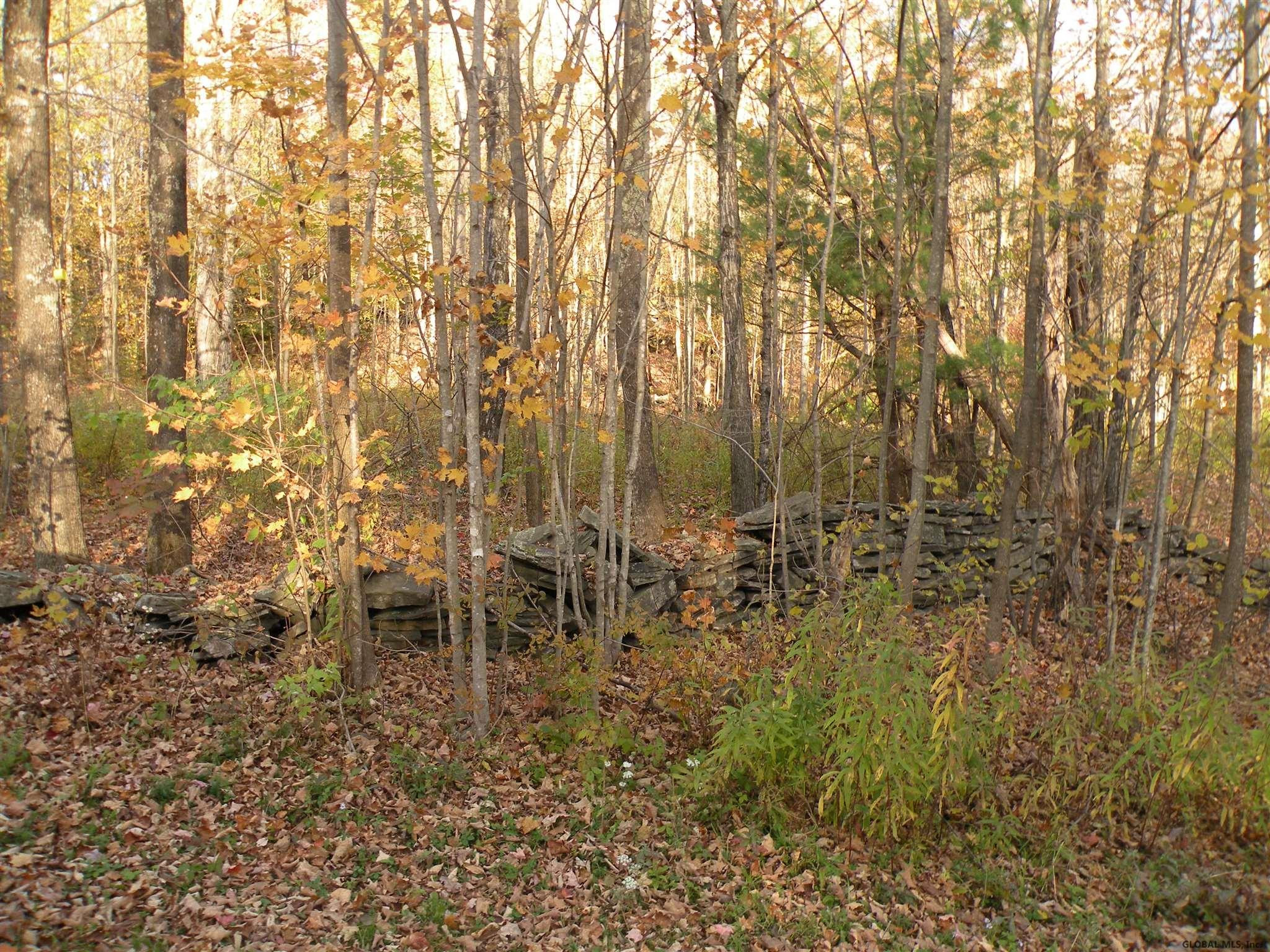 Campbell Road Windham, NY 12496 - Photo 6 of 8 Photo 6