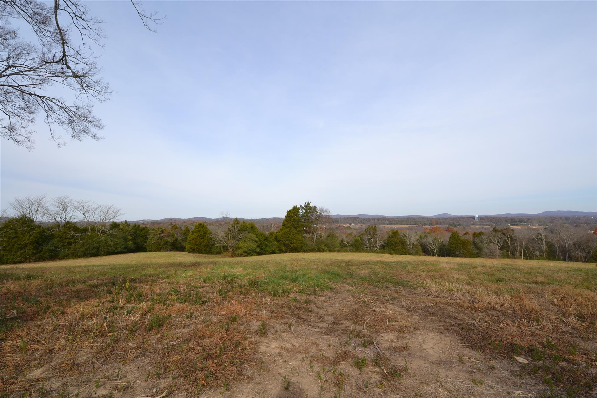 9 Goose Creek Road Alexandria, TN 37012 - Photo 14 of 24 Gallery Image 14
