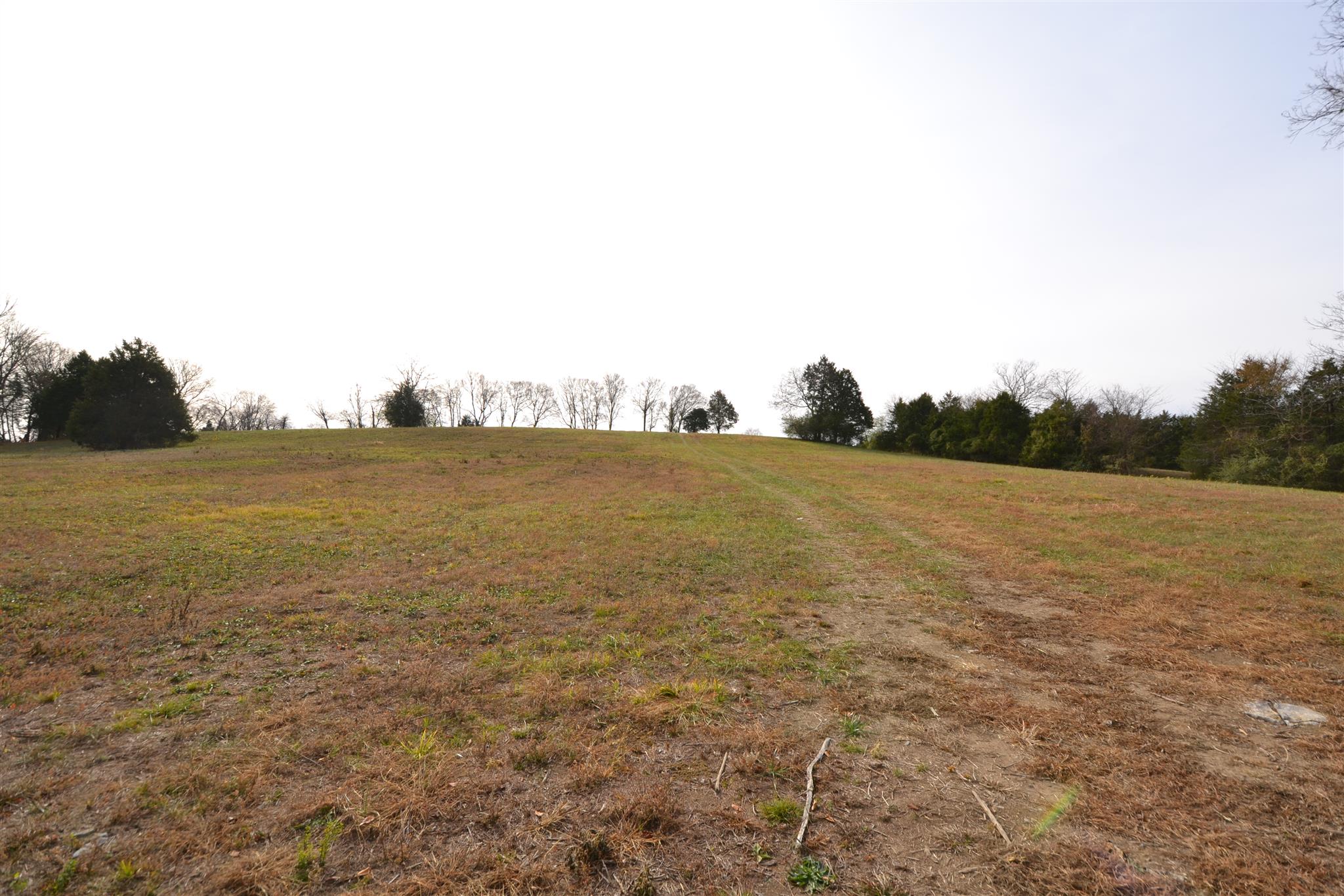 9 Goose Creek Road Alexandria, TN 37012 - Photo 18 of 24 Gallery Image 18