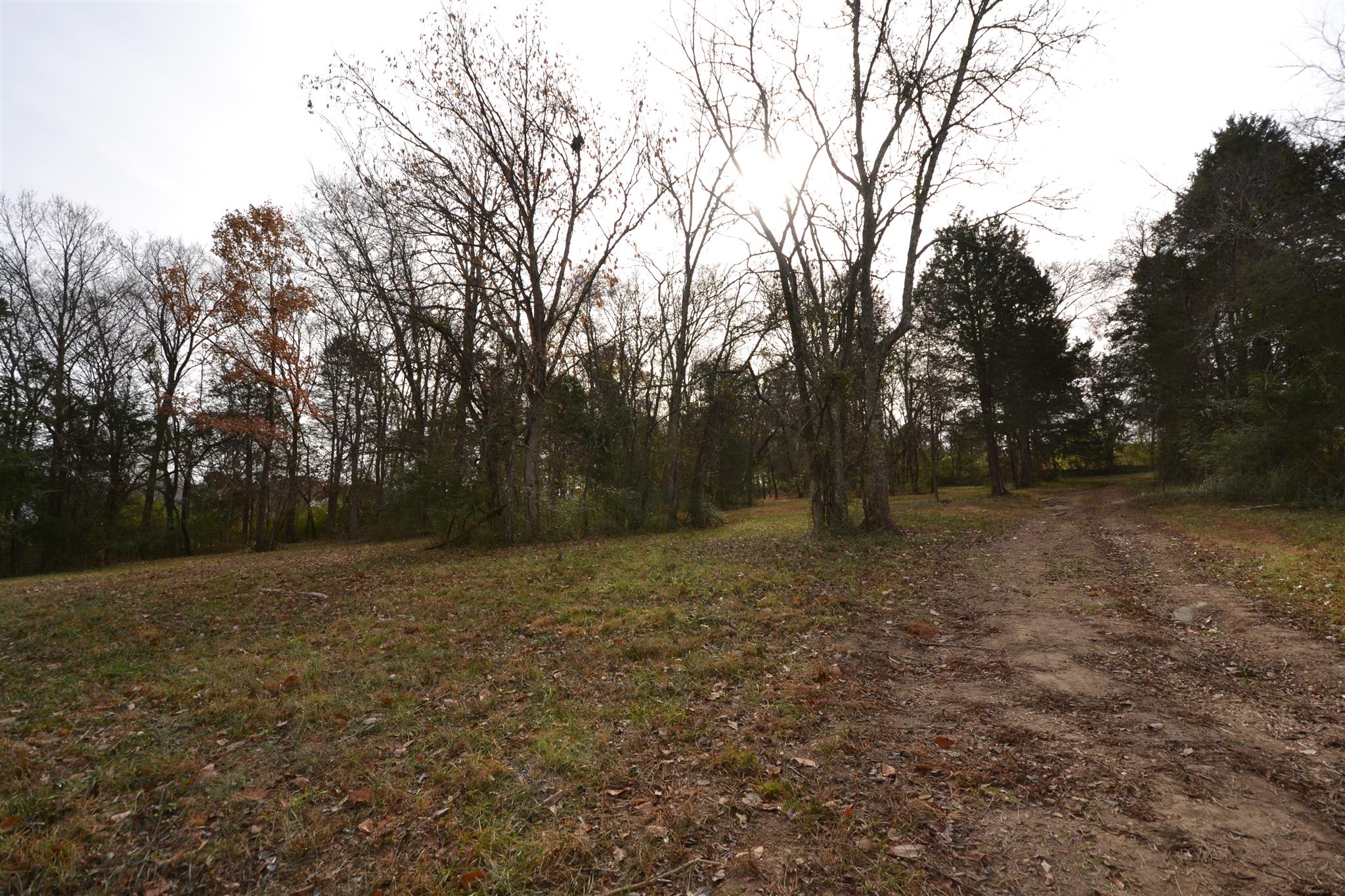 9 Goose Creek Road Alexandria, TN 37012 - Photo 24 of 24 Gallery Image 24