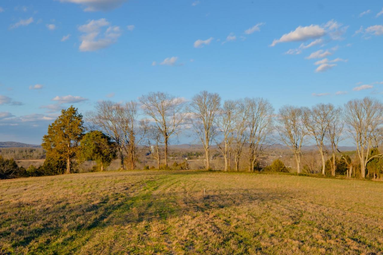 9 Goose Creek Road Alexandria, TN 37012 - Photo 5 of 24 Gallery Image 5