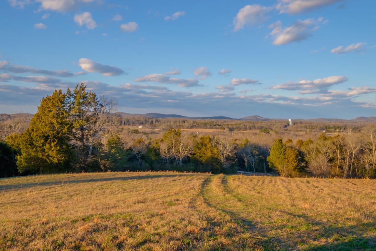 9 Goose Creek Road Alexandria, TN 37012 - Photo 8 of 24 Gallery Image 8