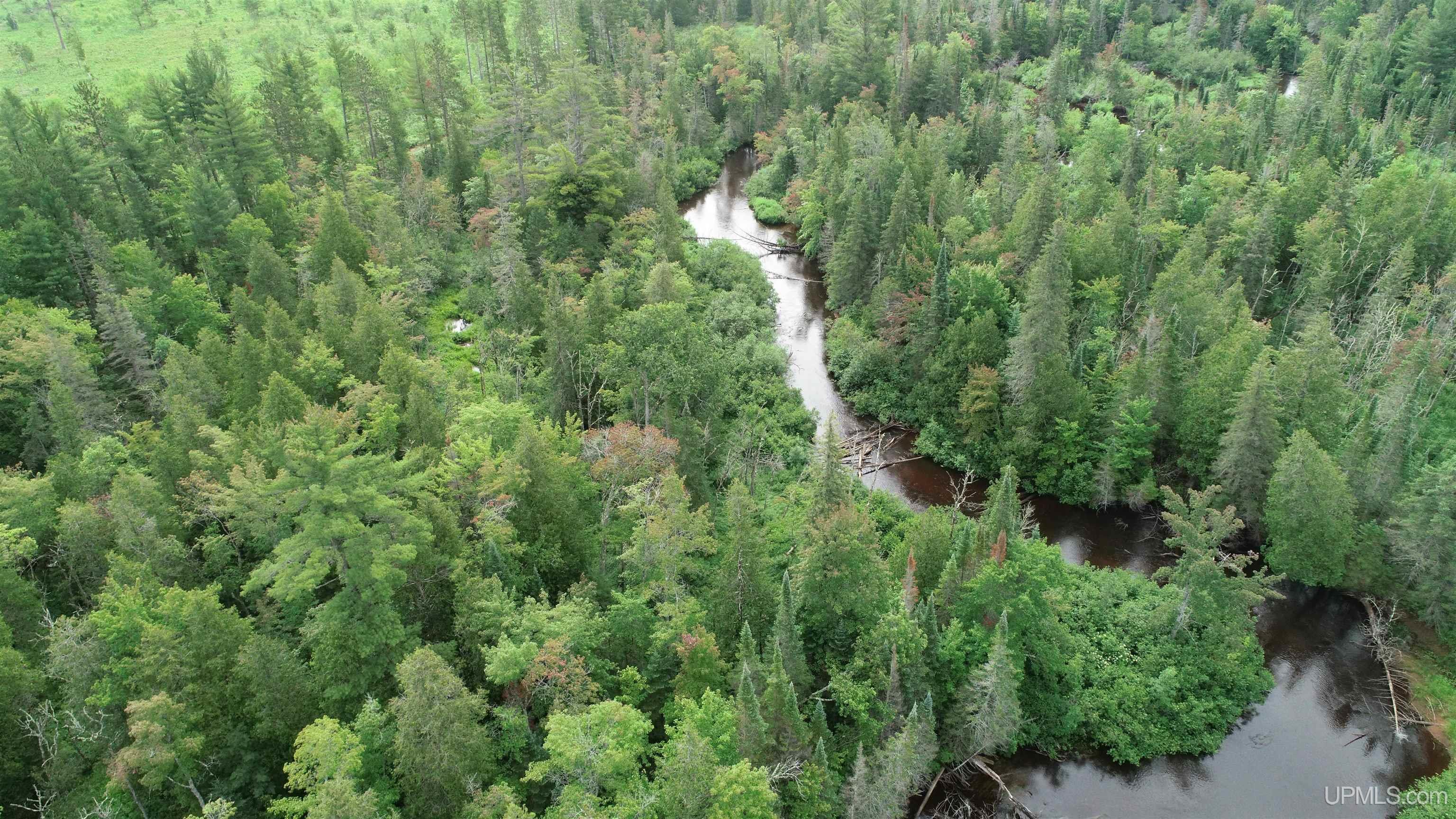 Tbd Tbd Hay Meadow Road Manistique, MI 49854 - Photo 18 of 51