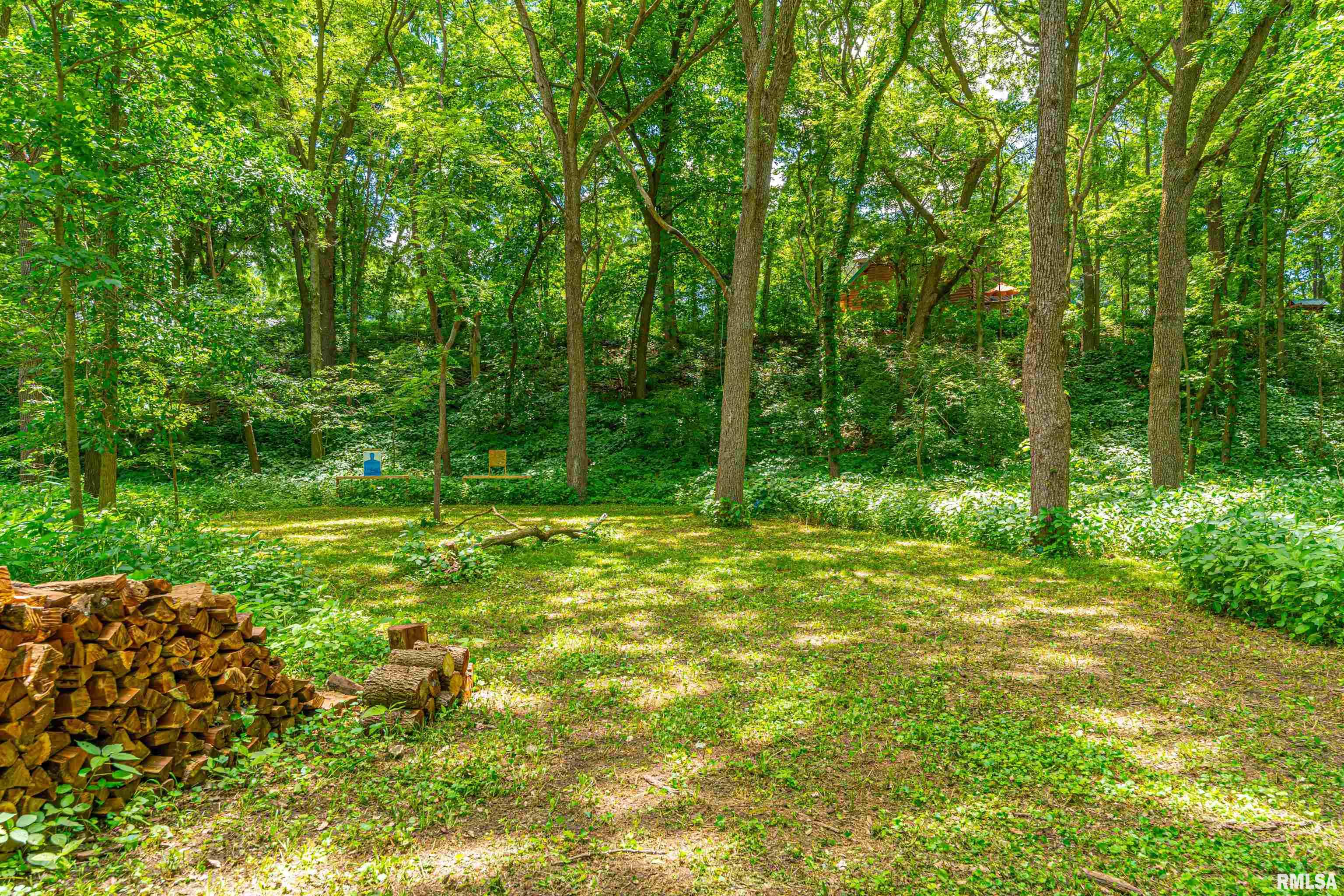 25330 Longview Road Hopedale, IL 61747 - Photo 49 of 57
