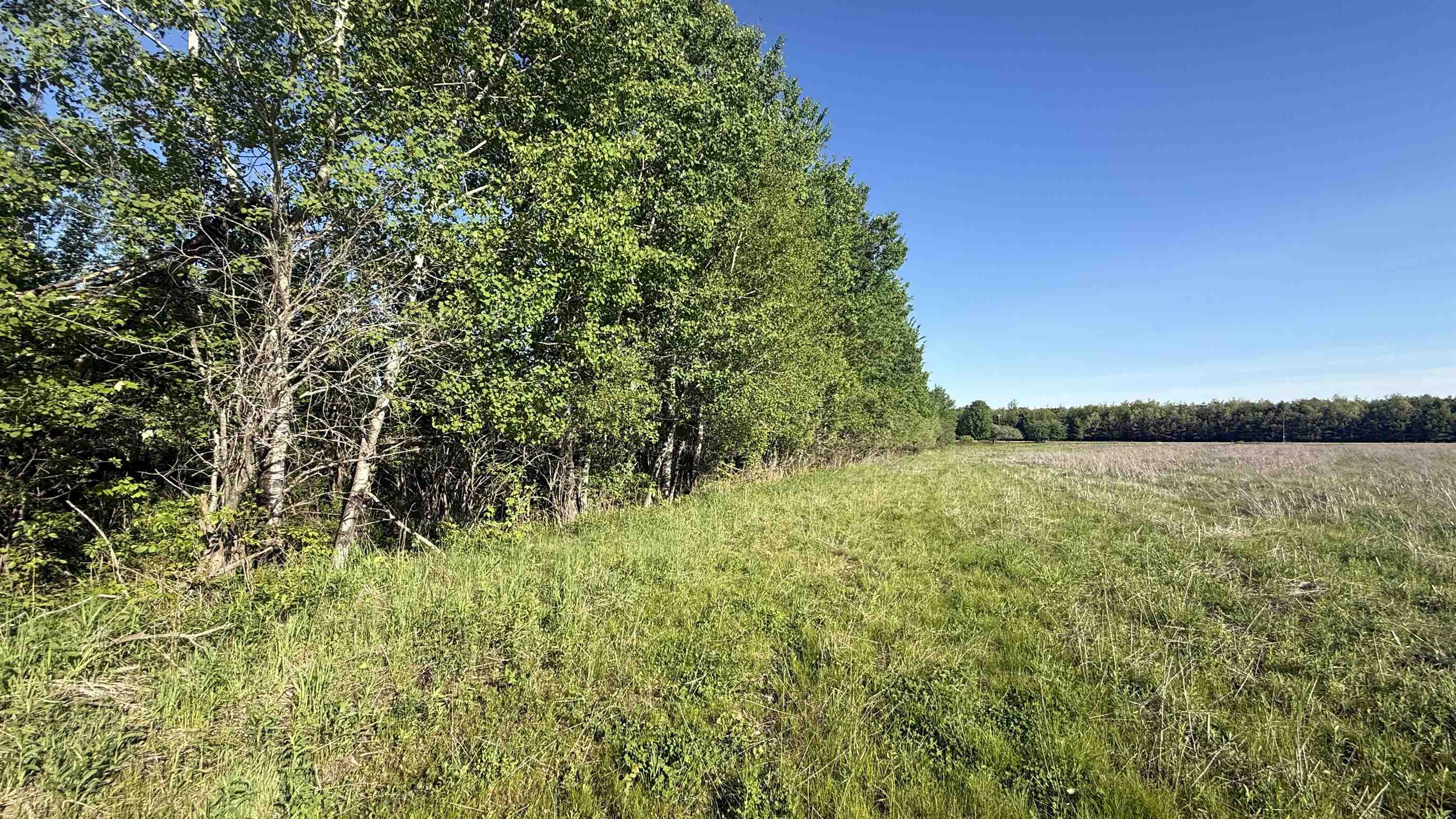 Lot 1 County Road Z Ringle, WI 54471 - Photo 4 of 22