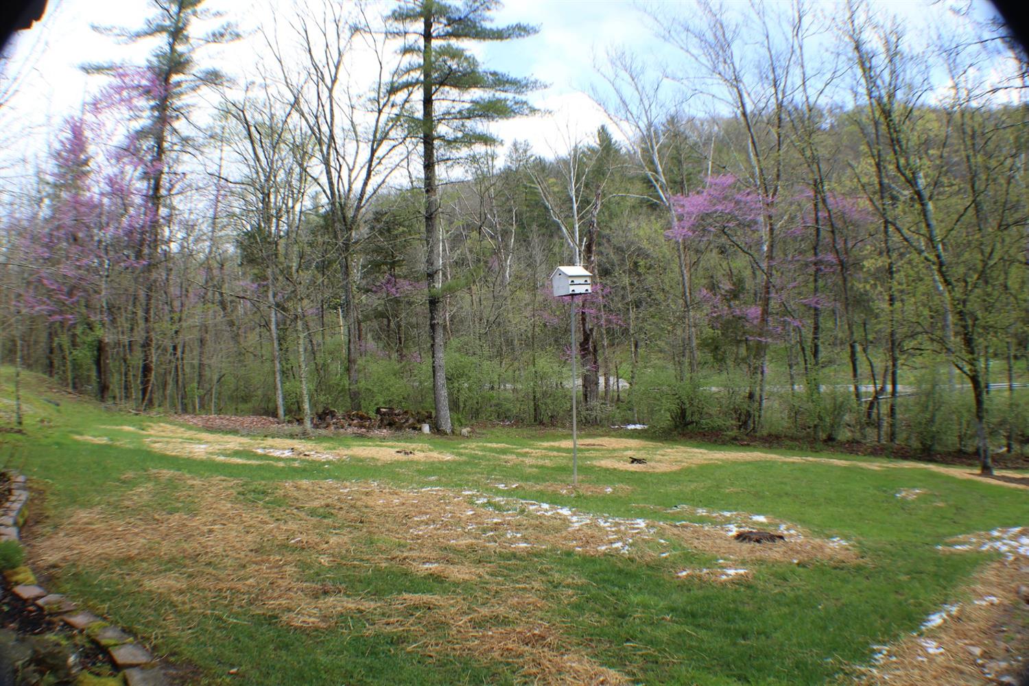 5299 Pendleton Run Road Vevay, IN 47043 - Photo 54 of 91