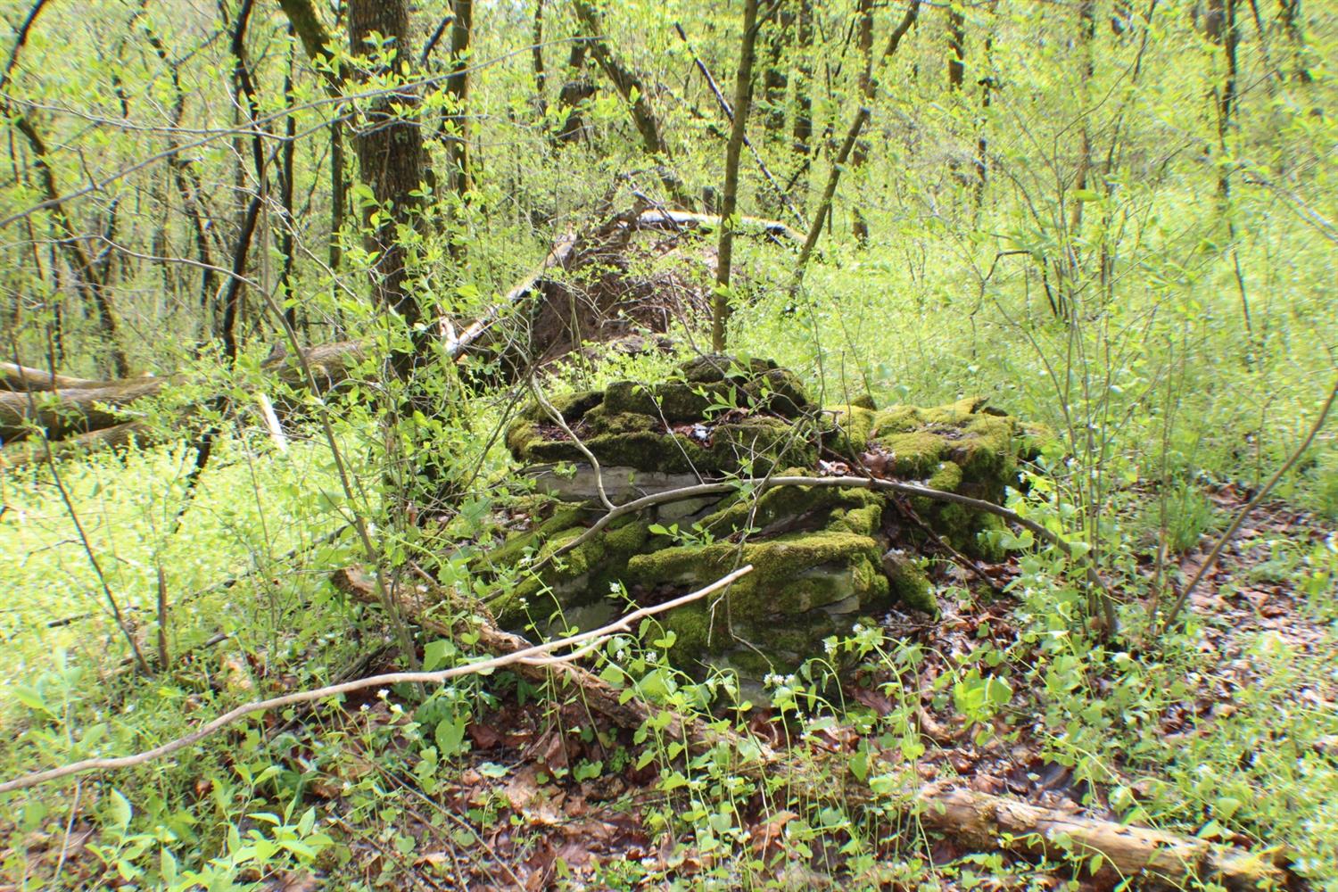 5299 Pendleton Run Road Vevay, IN 47043 - Photo 68 of 91