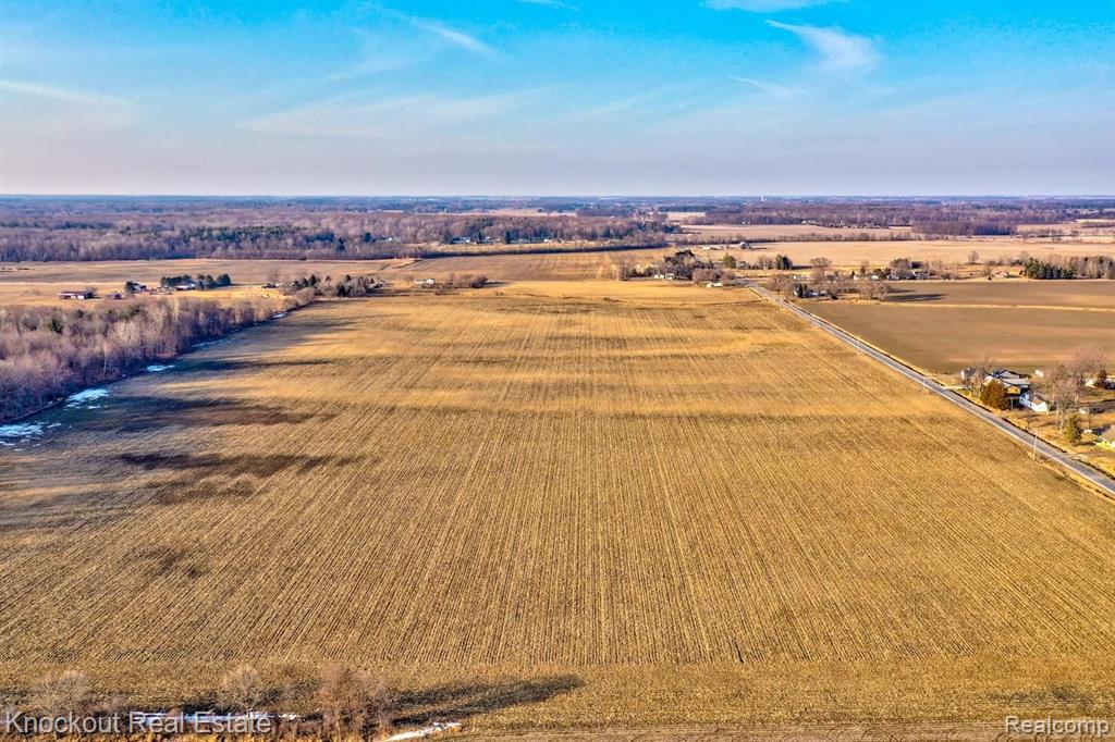 10665 Dehmel Road Birch Run, MI 48415 - Photo 38 of 41