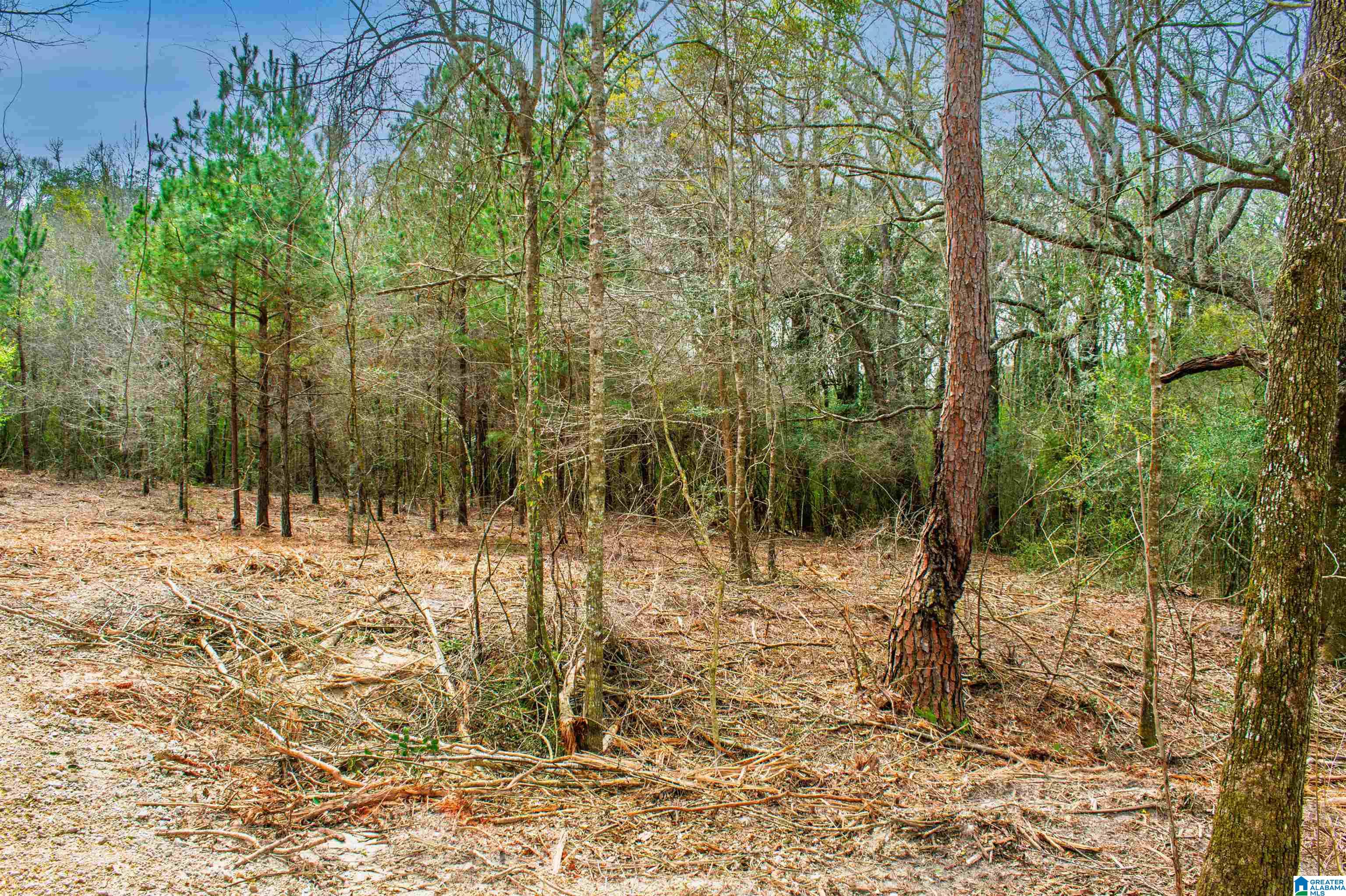 27180 Deer Run Road Opp, AL 36467 - Photo 54 of 60